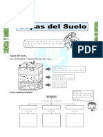 Ficha Capas Del Suelo para Tercero de Primaria