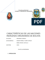 Caracteristicas de Las Naciones Indegenas