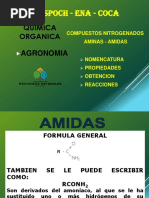 Hidrocarburos Nitrogenados Aminas Amidas