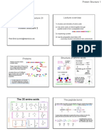 Biochemistry Lecture Notes (Protein Structure 1)