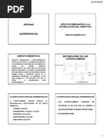 Drogas Adrenergicas