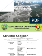 Struktur Sedimen Dan Lingkungan Pengendapan