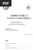 Flora y Fauna Cadaverica