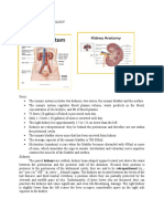 Anatomy and Physiology