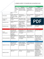 1 Origen e Inserción PDF