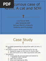 Case Study SDH