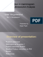 Lesion Detection in Mammogram Lesion Detection in Mammogram Based On Multiresolution Analysis