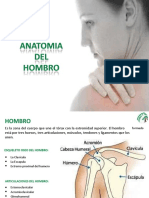 Anatomia Del Hombro