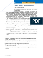 Teste Final Amor de Perdicao 11 º Ano 1