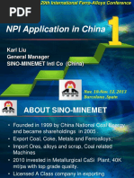 NPI Application in China 