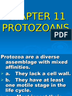 CHAPTER 11 Protozoa