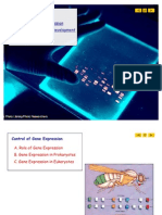 Control of Gene Expression Gene Expression and Development DNA Technology