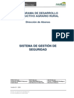 Manual de Gestion de Seguridad 1version PDF