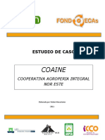 COAINE Final 2011