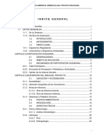 Macusani Evaluación de Impacto Ambiental Semidetallado Proyecto