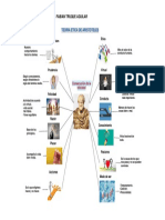 Mapa Mental Etica Aristóteles