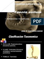 Taenia Solium