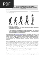 Taller 6 Evolucion Humana