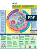 Big Picture On The Cell Poster