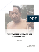 Plantas Medicinales Del Pueblo Chaná