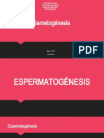 Espermatogénesis y Ovogénesis