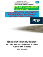 2 Proyectos de Innovación Educativa Pto. San Antonio