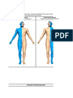 Brain Anatomy and Function