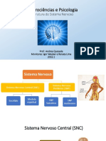 1 - Estrutura Do Sistema Nervoso PDF