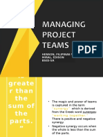 Managing Project Teams