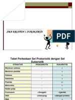 Power Point BIOLOGI SEL