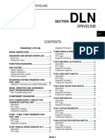 DLN PDF