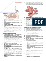 Upper Respiratory System Disorders