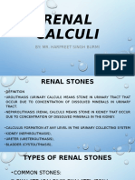 Renal Calculi