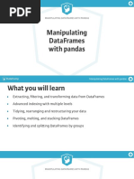 Manipulating Dataframes With Pandas PDF