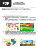 PDF Documento