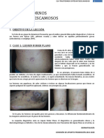 E14 Trastornos Eritematoescamosos de Dermatología