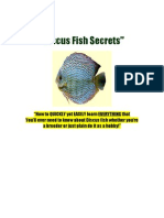 Discus Fish Secrets