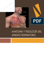 Anatomia y Fisiologia Del Aparato Respiratorio PDF