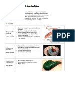 Capítulo 14 - ANELÍDEOS