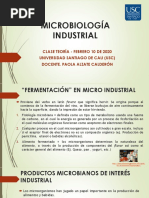 Micro Industrial CLASE 2 Febrero 10