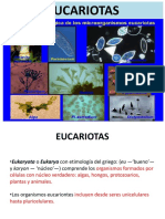 EUCARIOTAS - .Algas PDF