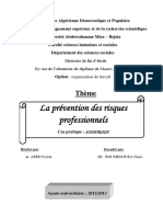 La Prévention Des Risques Professionnels