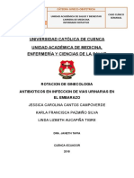 Antibioticos en Itu en El Embarazo