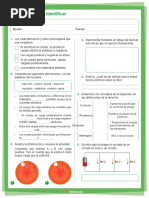 Fisica Octavo26 Word