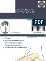 Abordajes de Tobillo y Pie PDF