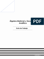 Guía de Trabajo - Algebra Matricial y Geometría Analítica 2020-10 PDF