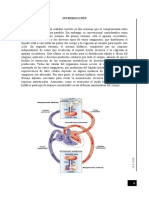 Histologia Sistema Circulatorio