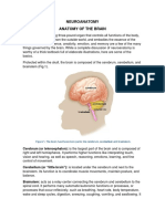 Neuroanatomy (Reading Topic 1)