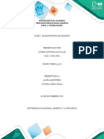 Fase 1: Diagnosticos Solidarios