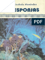 FE-241-Alc-E Las Esponjas